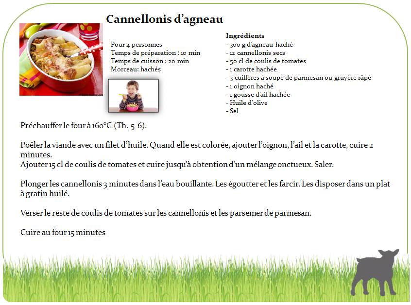 cannellonis d'agneau1